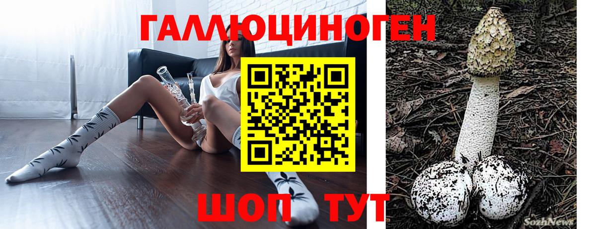 Димитровград  Галлюциногенные грибы Magic Shrooms  Вход с VPN 